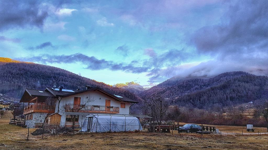 Agriturismo Fattoria Dalcastagne Villa Torcegno Dış mekan fotoğraf