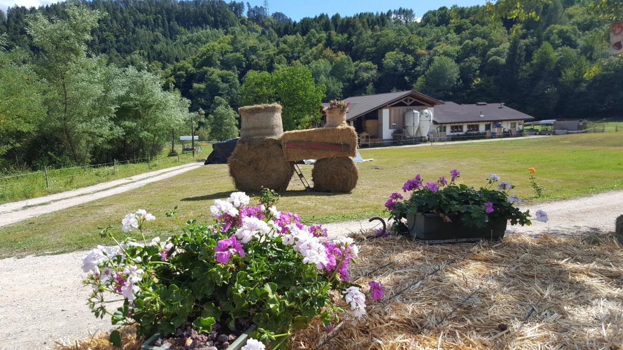 Agriturismo Fattoria Dalcastagne Villa Torcegno Dış mekan fotoğraf